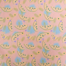 Popeline Imprimé Rose Saumon Motif Pastèque - Maison Klem