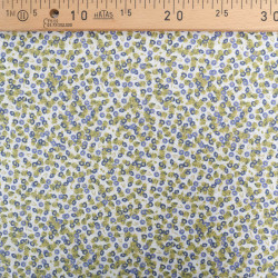 Popeline Imprimée Utopia Bleu et Vert - Maison Klem