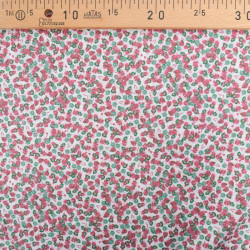 Popeline Imprimé Utopia Framboise  - Maison Klem