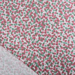 Popeline Imprimé Utopia Framboise  - Maison Klem