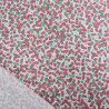 Popeline Imprimé Utopia Framboise  - Maison Klem