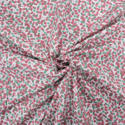 Popeline Imprimé Utopia Framboise - Maison Klem