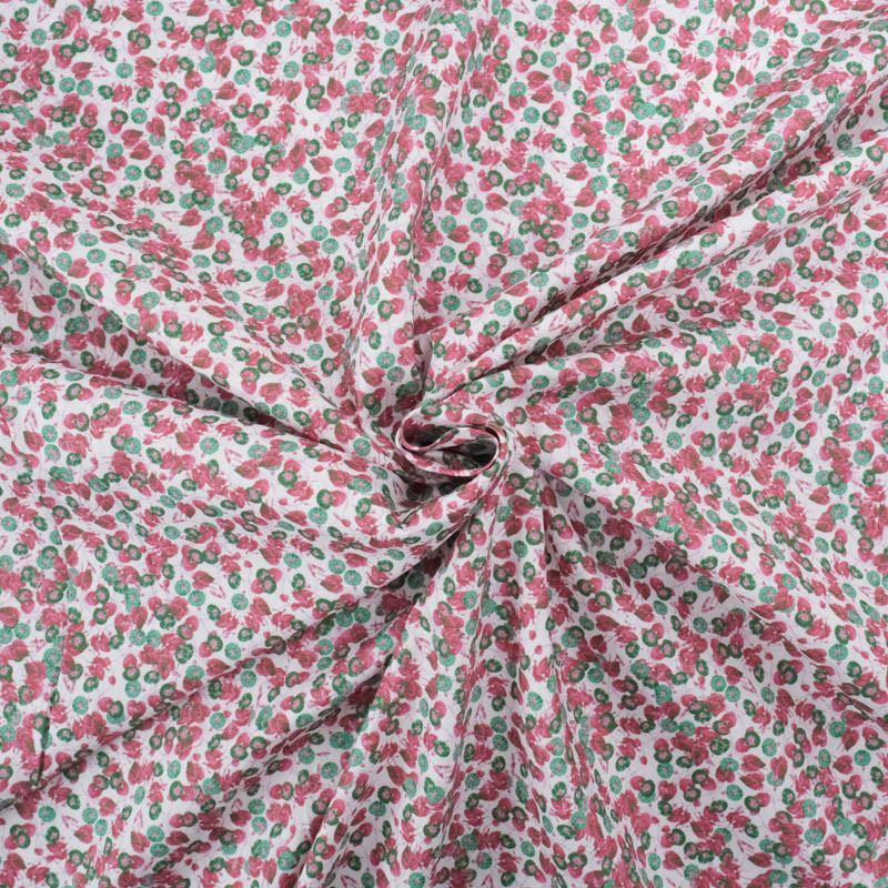 Popeline Imprimé Utopia Framboise - Maison Klem