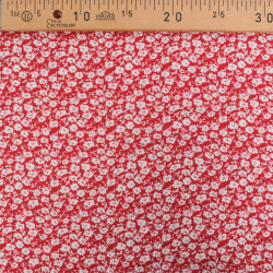 Popeline de Viscose Imprimé Tany Rouge - Maison Klem