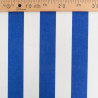 Outdoor Traité Teflon Rayures Bleu Roi - Maison Klem