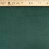 Velours Liss Epais Vert Foncé Elise - Maison Klem