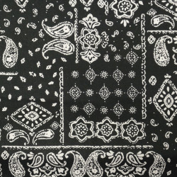 Popeline de Coton Imprimé Amélia Noir Et Blanc Bandana - Maison Klem