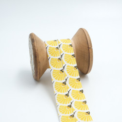 Biais Eventail Jaune - Maison Klem