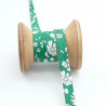 Liberty Fabrics 40MM Capel Vert Bias Tape