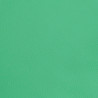 Simili Cuir Vert Vif - Bari - Maison Klem