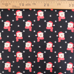 Tissu Noël Christmas Bear - Maison Klem