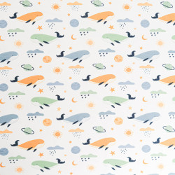 Tissu Jersey de Coton Alba Multicolore - Maison Klem