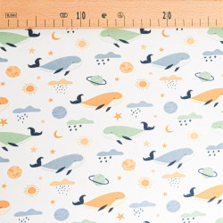 Jersey de Coton Imprimé Club Baleine - Maison Klem