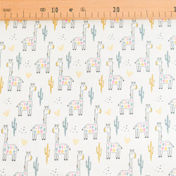 Tissu Jersey de Coton Alba Multicolore - Maison Klem