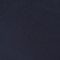 Navy Blue Silver Sequined Cotton Poplin - Maison Klem