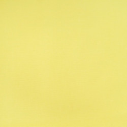 Yellow Sanforized Cotton - Pablo - Maison Klem