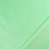 Velours Stretch Oeko-Tex menthe