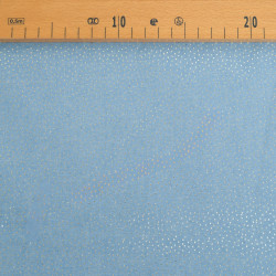 Chambray mit kleinen Punkten und goldenem Lurex – Maison Klem