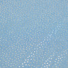 Chambray mit kleinen Punkten und goldenem Lurex – Maison Klem