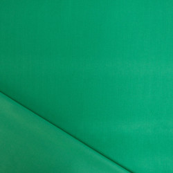 Velours Milleraies Vert Vif - Auguste - Maison Klem