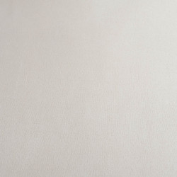 copia de Tissu Suédine Envers Fourrure Beige
