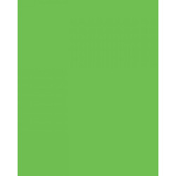 Feuille Flex Révolution Vert Pomme - Maison Klem