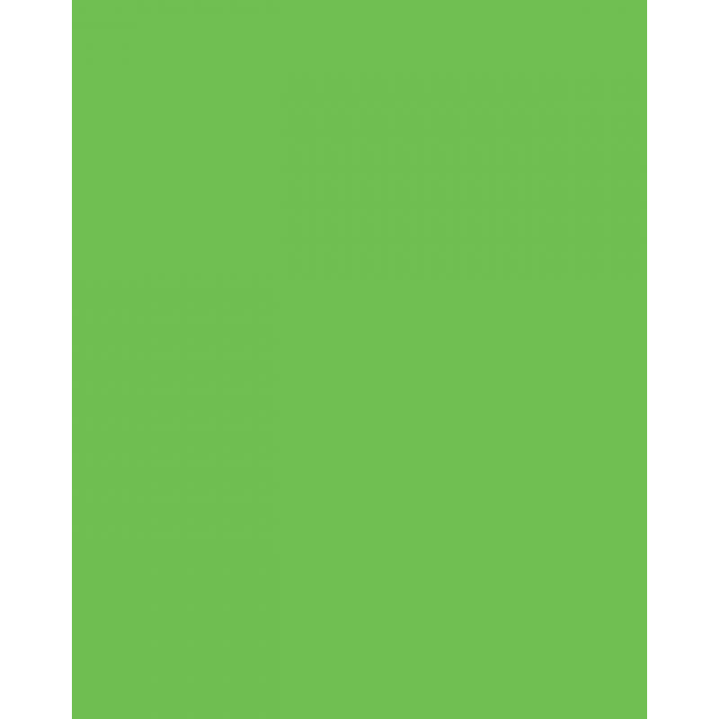 Feuille Flex Révolution Vert Pomme - Maison Klem