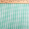 Vichy Petits carreaux vert menthe