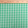 Vichy Moyens carreaux vert