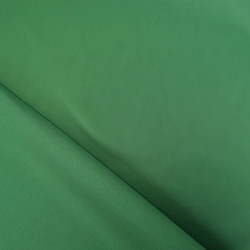 Satin Stretch Eva - Vert - Maison Klem