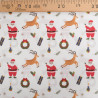 Tissu Noël Coton Père Noël - Maison Klem