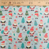Tissu Noël Coton Bonnets De Noël Fond Bleu Gris - Maison Klem