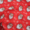 Tissu Noël Coton Rouge Père Noël - Maison Klem