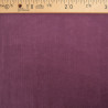 Velours Moyennes Côtes Violet - Maison Klem