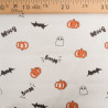 Tissu Coton Halloween Ecru Boom - Maison Klem