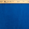 Velours 500 Raies Oeko-Tex bleu grand plongeon