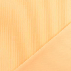 Velours 500 Raies Coquille - Maison Klem