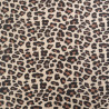 Tissu Jersey de Coton Mini Léopard Fond Beige - Maison Klem